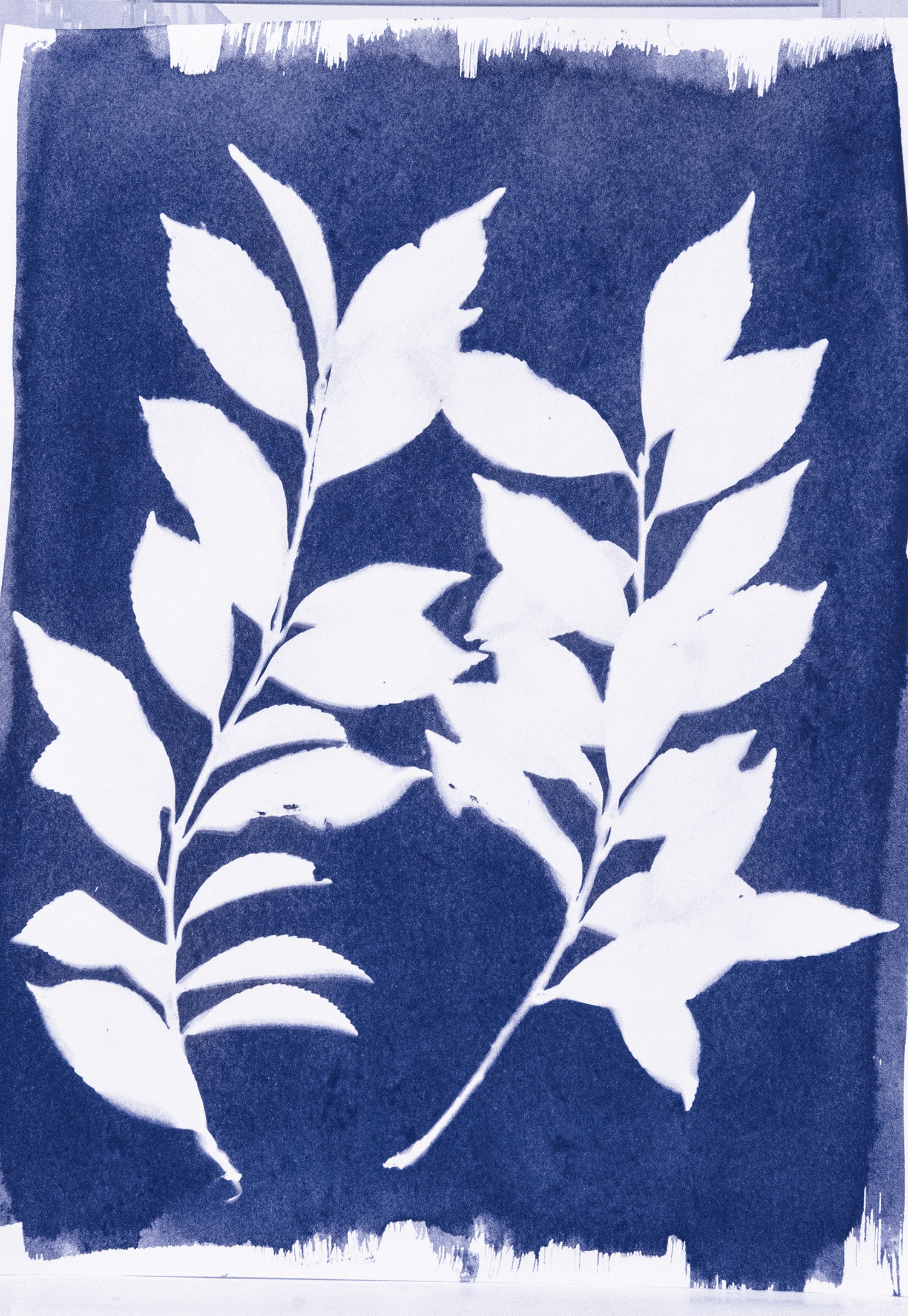 Jacquard Cyanotype Chemistry Set- - Image 6